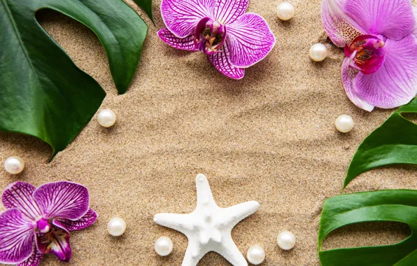 Картинка песок, листья, цветы, white, орхидея, pink, flowers, sand
