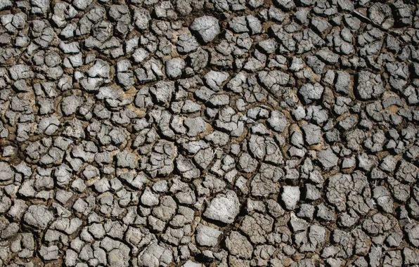 Обои поверхность, трещины, земля, засуха, land, drought, surface, cracks