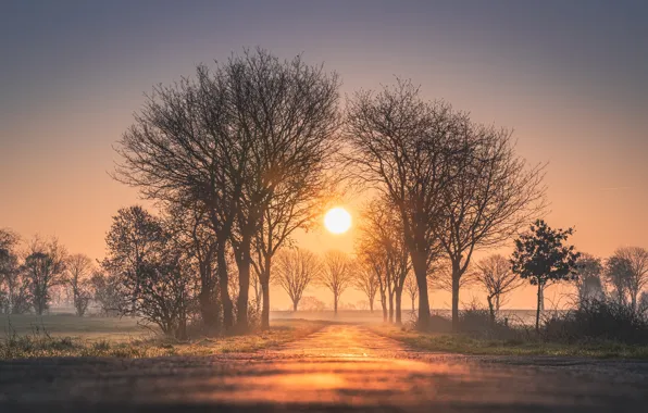 Дорога, солнце, деревья, восход, рассвет, утро, Германия, Germany