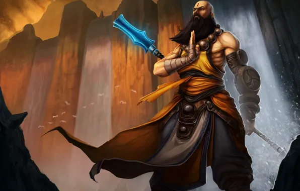 Борода, blizzard, diablo 3, monk
