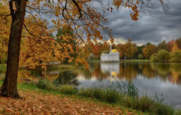 Картинка осень, деревья, пруд, парк, листва, Санкт-Петербург, Россия, Пушкин