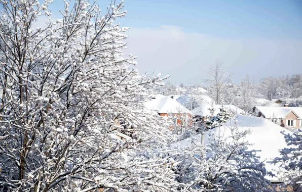 Картинка зима, небо, снег, деревья, ветки, природа, здания, дома