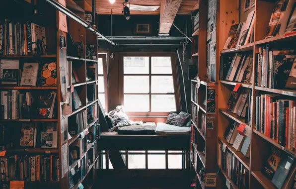 Уют, книги, подушки, окно, библиотека