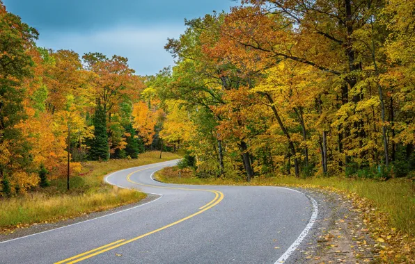 Картинка дорога, осень, листья, деревья