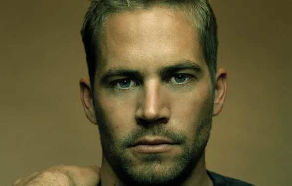 Картинка взгляд, актер, щетина, пол уокер, paul walker