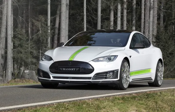 Tesla, Mansory, Model S, 2016