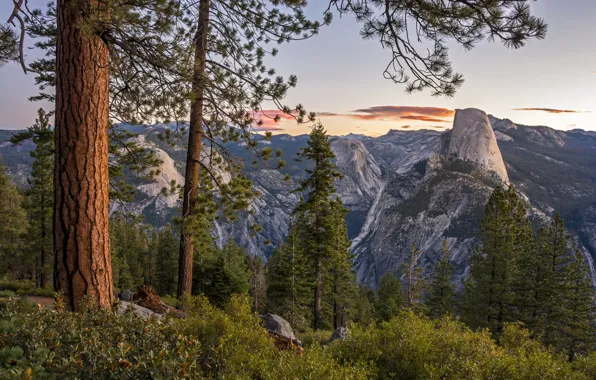 Картинка деревья, горы, Калифорния, панорама, Йосемити, California, Национальный парк Йосемити, Yosemite National Park