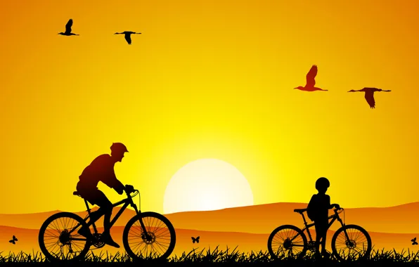 Картинка природа, настроение, настроения, минимализм, прогулка, птины, сын, велосипеды