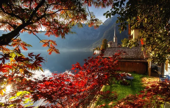 Картинка осень, деревья, природа, озеро, краски, Австрия, Гальштат