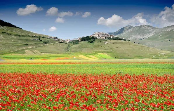 Картинка поле, цветы, горы, маки, дома, луг, Италия, городок