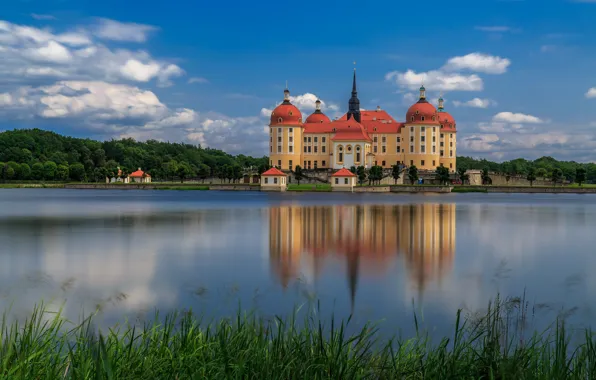 Картинка вода, отражение, Германия, Germany, Moritzburg Castle, Замок Морицбург