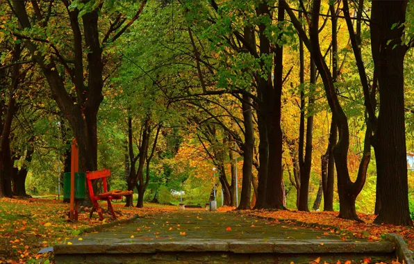Осень, Деревья, Скамейка, Парк, Fall, Park, Autumn, Листопад