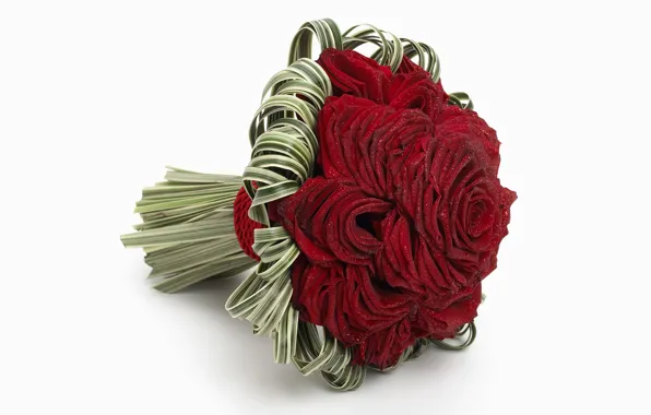 Rose, flower, flowers, roses