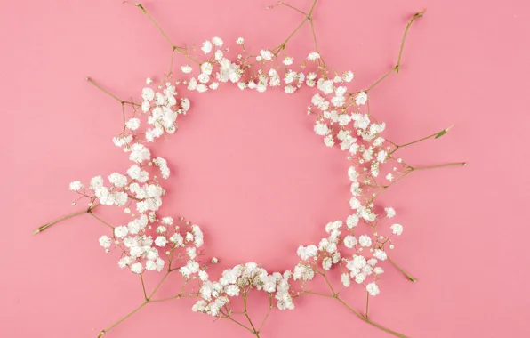 Цветы, white, белые, розовый фон, pink, flowers, background, tender