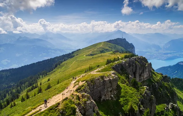 Лето, горы, природа, озеро, Lake Thun, Bernese Alps