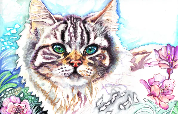 Картинка кот, взгляд, цветы, животное, мордочка, уши, живопись, зеленые глаза
