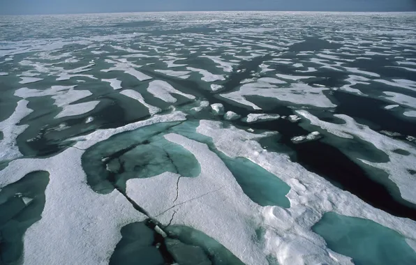 Море, Льды