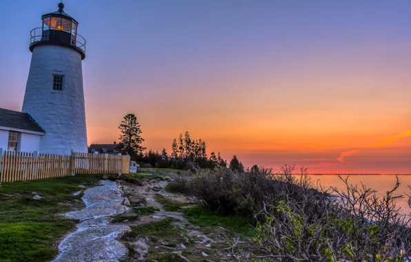 Пейзаж, рассвет, растительность, маяк, утро, США, Pemaquid Point Lighthouse, залив Мэн