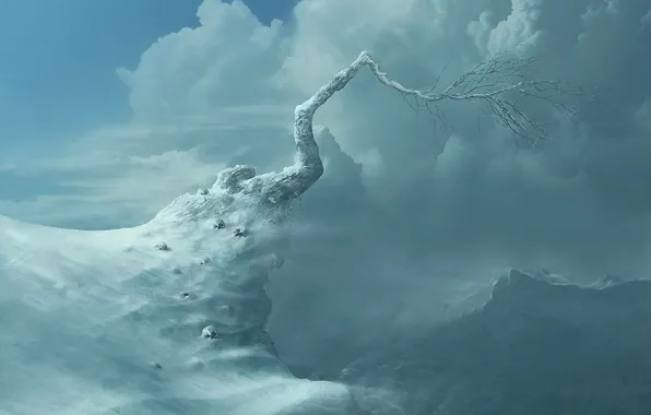 Картинка зима, облака, горы, дерево, черепа