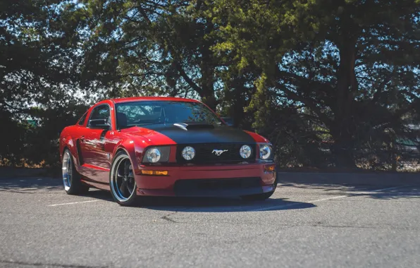 Mustang, Ford, Red, Parking, GT