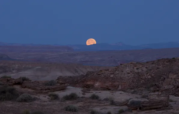 Ночь, луна, пустыня, фотограф, Юта, США, национальный парк, каньоны