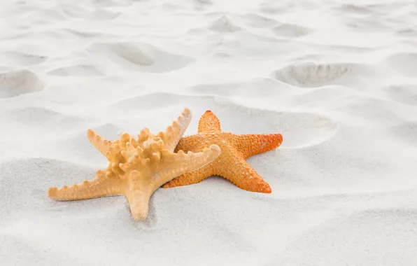 Песок, пляж, лето, отдых, звезда, summer, beach, sand