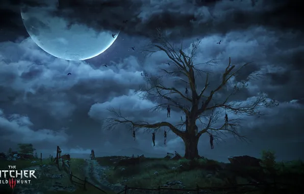 Картинка небо, ночь, дерево, луна, The Witcher 3: Wild Hunt