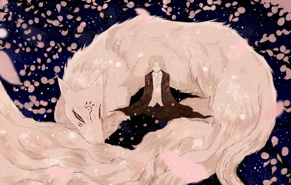 Аниме, лепестки, арт, персонажи, natsume yuujinchou, Тетрадь дружбы Натсуме