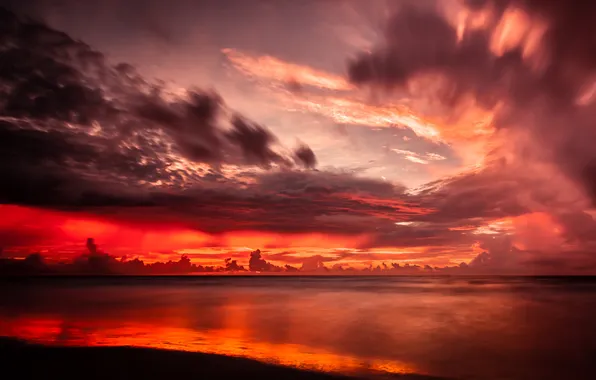 Картинка пейзаж, закат, тучи, океан, USA