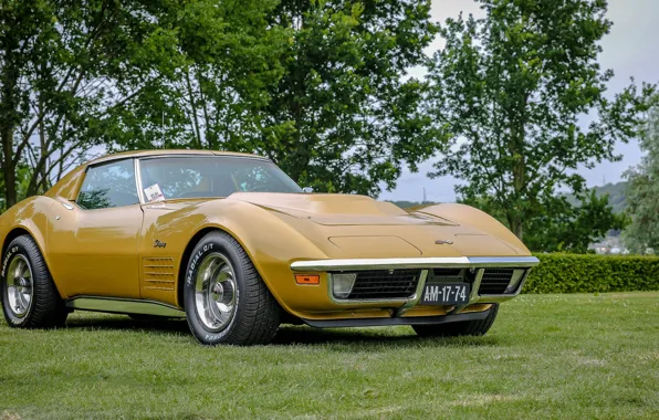 Картинка Corvette, Chevrolet, Stingray