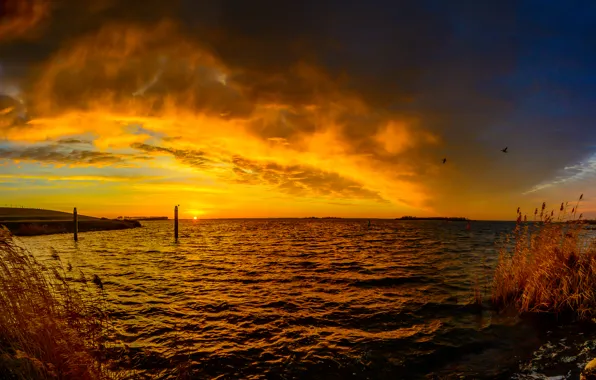 Картинка небо, облака, река, птица, берег, зарево, Нидерланды