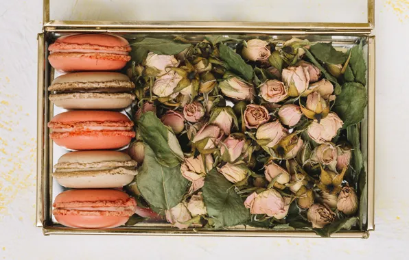 Коробка, розы, бутоны, macaron