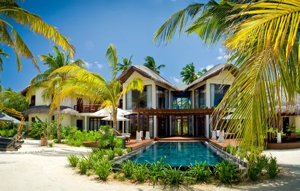 Картинка пальмы, вилла, бассейн, экзотика, Maldives