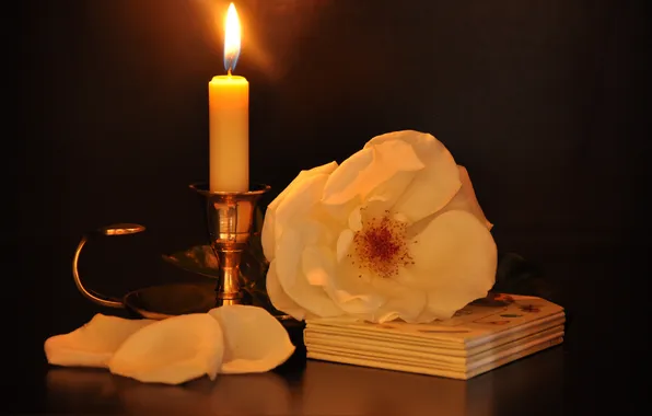 Картинка роза, свеча, белая, чайная, подсвечник