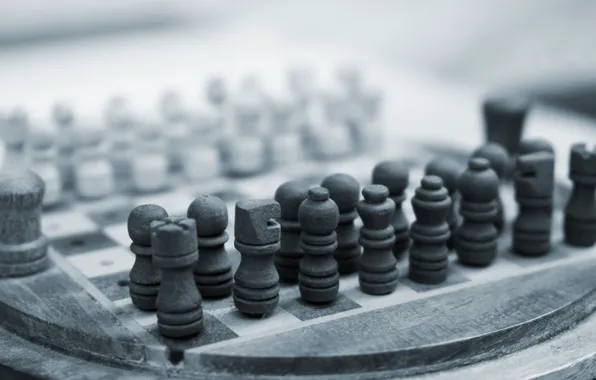 Macro, Game, black and white, Chess Board