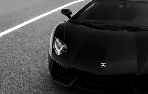Картинка черно белое, supercar, lp700-4, ламборгини, автообои, Lamborghini Aventador