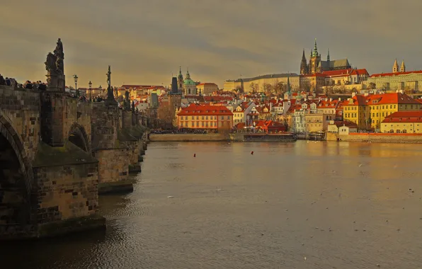 Река, дома, Прага, Чехия, Карлов мост, Собор Святого Вита