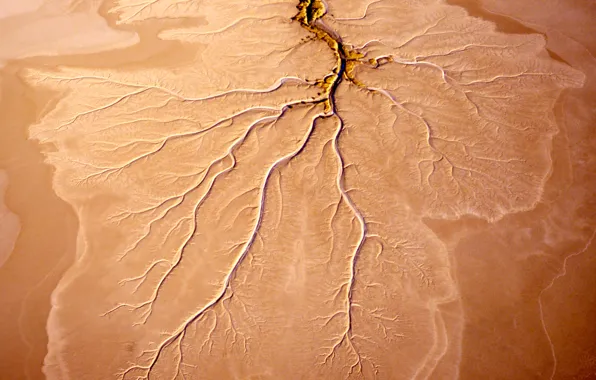 Картинка река, Австралия, Квинсленд, вид с орбиты, Норман
