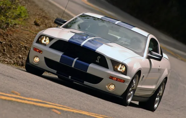 Mustang, ford, shelby, cobra gt500