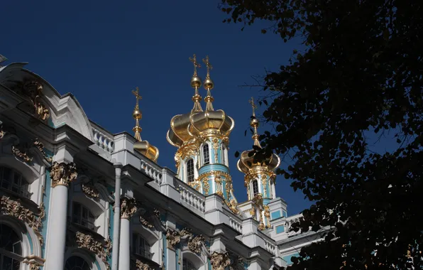 Пейзаж, парк, питер