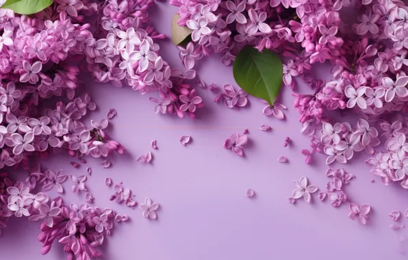 Листья, цветы, букет, весна, лепестки, цветение, сирень, соцветия