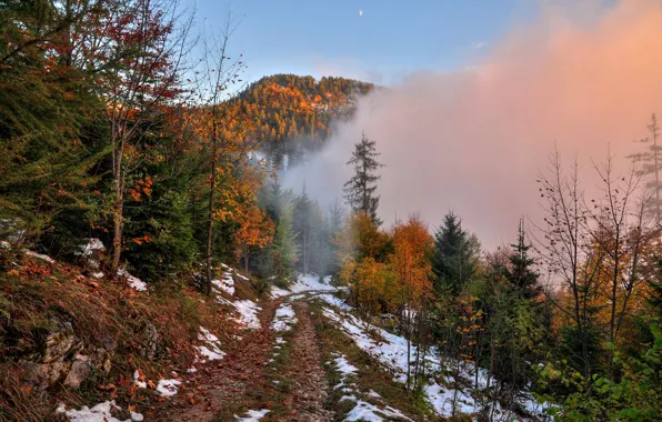 Картинка дорога, осень, лес, небо, снег, деревья, горы, туман, луна