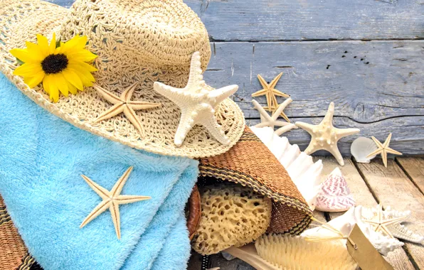 Картинка песок, пляж, звезды, шляпа, ракушки, beach, wood, sand