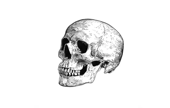 Смерть, череп, skull