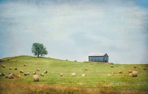 Картинка поле, небо, трава, облака, дерево, забор, сарай, сено