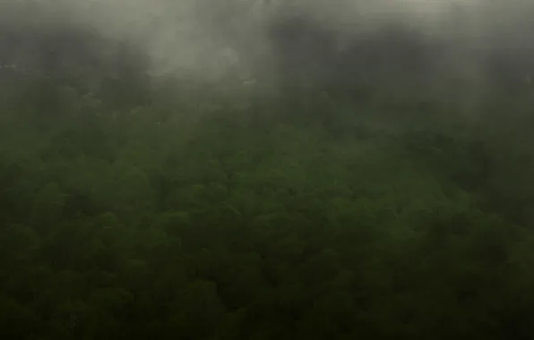 Green, dark, fantasy, forest, misty, sky, landscape, the