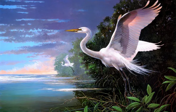 Облака, залив, живопись, цапли, Les Didier, White Egrets at Pelican Bay