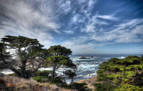 Море, пейзаж, берег