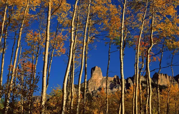 Картинка осень, небо, листья, деревья, горы, природа, скалы, береза