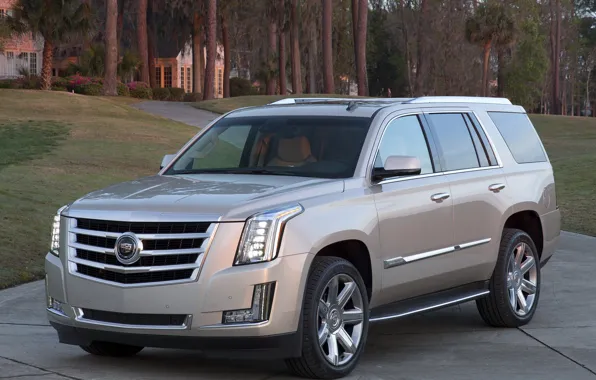 Cadillac, Escalade, '2014